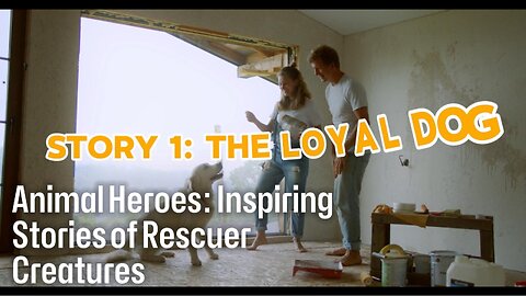 Animal Heroes: Inspiring Stories of Rescuer Creatures