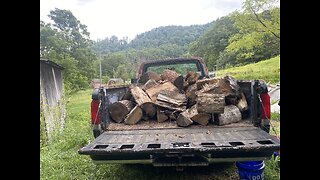 Free Firewood For The Homestead