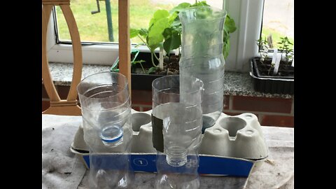 Re-Using Plastic Bottles in the Garden