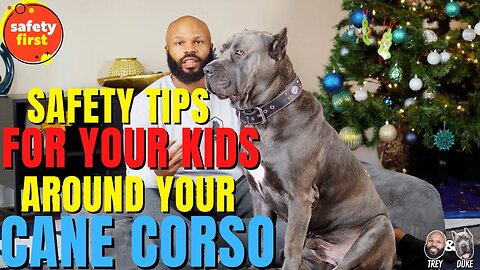 Safety Tips For Your Kids Around Your Cane Corso