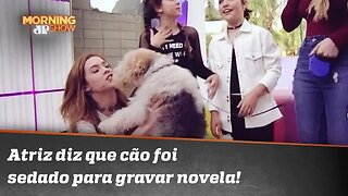 Atriz diz que cão foi sedado para gravar novela!