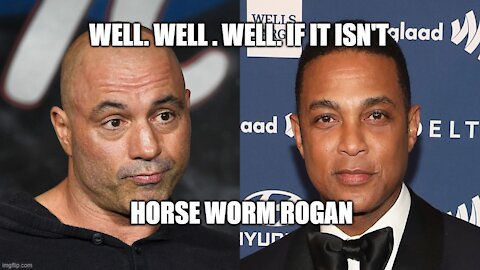 Horse Worm Rogan
