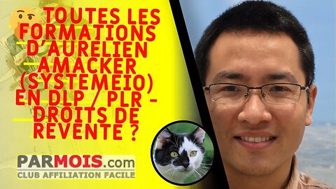 🤔 Toutes les formations d'Aurélien Amacker (SystemeIO) en DLP / PLR - Droits de revente ?