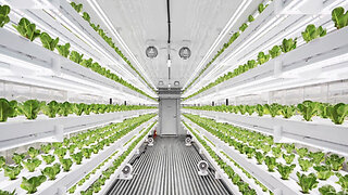 Smart vertical farming system allows users to maintain crops from anywhere