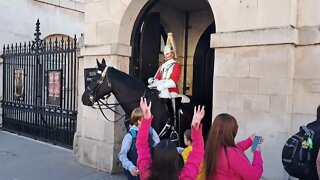 Young boy poked in the back by horse #horseguardsparade