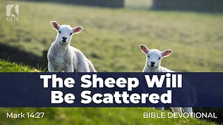 143. The Sheep Will Be Scattered – Mark 14:27