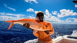 170 Miles Offshore Fishing For the Most EXOTIC Species Florida Has To Offer (PULLEY RIDGE)