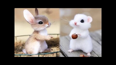 Cute baby animals Videos Compilation cute moment of the animals - AhmeeCreations