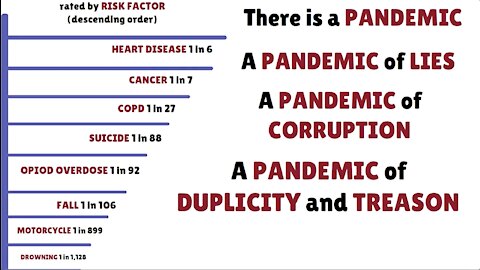 A Pandemic of Lies - Public Health Deaths