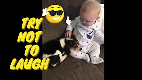 Funny Baby and Dog Video THE BEST Adorable Baby and Dog