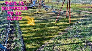 The WORST Playgrounds I've EVER Seen!! MOSS, SLIME & GRIME TAKING OVER!! 😱