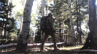 Thoughts and advice on solo hunting