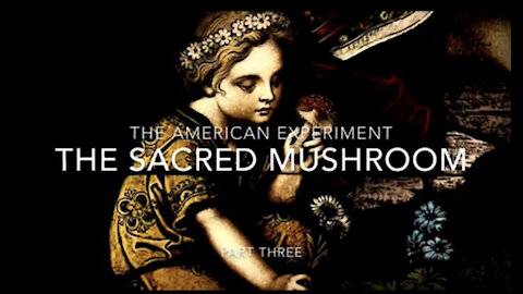 The American Experiment Part Three: The Sacred Mushroom 🍄