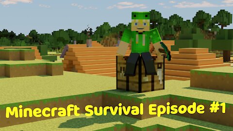 Minecraft Survival 1.17 - Episode 1