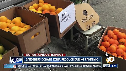 Gardeners donate extra produce during Coronavirus Pandemic