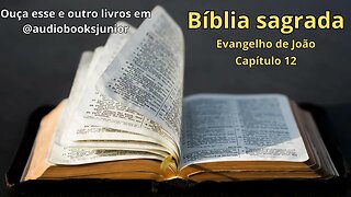 Bíblia Sagrada - Evangelho de João - Capítulo 12