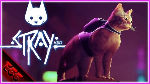 🔴Playing With The 🐈 | STRAY
