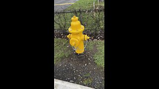 Yung Alone And Fire Hydrants (Compilation)