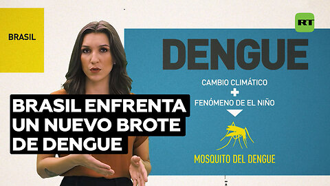Brasil supera el medio millón de casos de dengue en lo que va de 2024