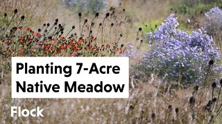 Turning Old Nursery into a 7-ACRE NATIVE "INSECT" MEADOW — Ep. 077