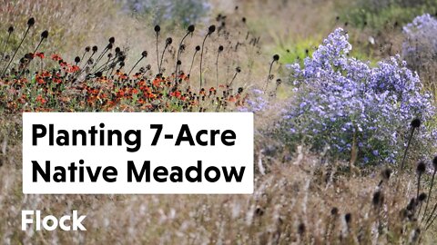 Turning Old Nursery into a 7-ACRE NATIVE "INSECT" MEADOW — Ep. 077