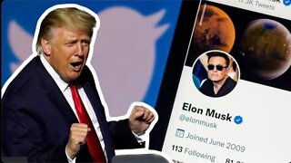 Trump is back on Twitter, Elon did it set him free.