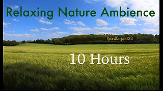 10 Hours of Nature’s Embrace: Relaxing Meadow