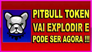 PITBULL TOKEN VAI EXPLODIR E PODE SER AGORA !!!