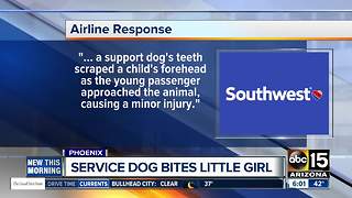 Young girl injured by service dog on Southwest Airlines flight from Phoenix
