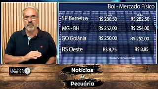 Boi gordo sem negócios digere caso da vaca louca no Pará. Exportações suspensas.