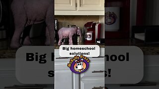 McRuffy Elephant Big Solutions #homeschool #homeschoolers #homeschoollearning #homeschool