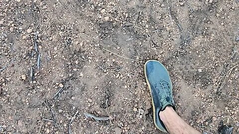 Huge Sasquatch Tracks Found II Colorado