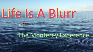 The Monterey Experience