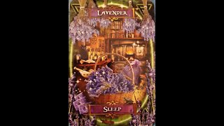 #24 Witches Kitchen Oracle Cards Lavender