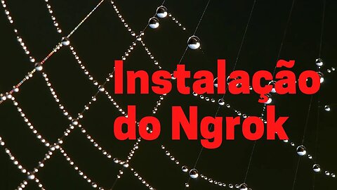 INSTALAÇÃO DO NGROK NO KALI LINUX