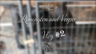 Remington and Vesper #2!!!