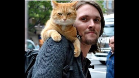 A Street Cat Named Bob with its grandma