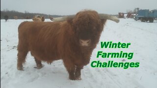 Winter Farming Challenges