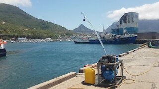 SOUTH AFRICA - Cape Town - Poachers turned commercial divers clean Hout Bay harbour (Video) (WAi)