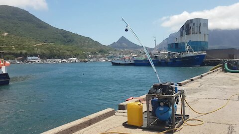 SOUTH AFRICA - Cape Town - Poachers turned commercial divers clean Hout Bay harbour (Video) (WAi)