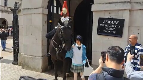 Horse likes your coat #horseguardsparade