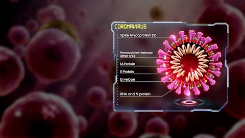 Medical Animation Coronavirus Structure