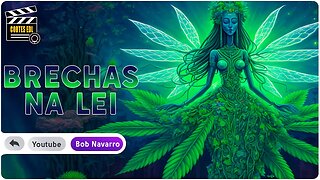 Os meios para conseguir cannabis medicinal no Brasil