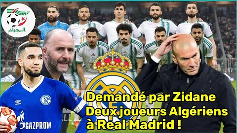 Nabil Bentaleb approché par des grands clubs// Zinédine Zidane réclame deux joueurs algériens…