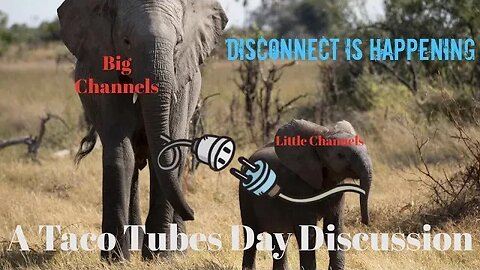 Taco Tubes Day Trouble - The Disconnect