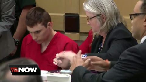 Florida grand jury formally charges Nikolas Cruz with 17 counts of murder in school shooting