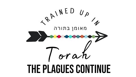 The Plagues Continue: Exodus 9&10- Sabbath School Lesson