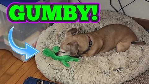 Every Dog Needs A Toy Gumby To Play With!