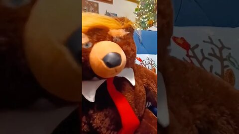 Trumpy Bear Wall Speach