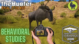 Behavioral Studies, Vurhonga Savanna | theHunter: Call of the Wild (PS5 4K)